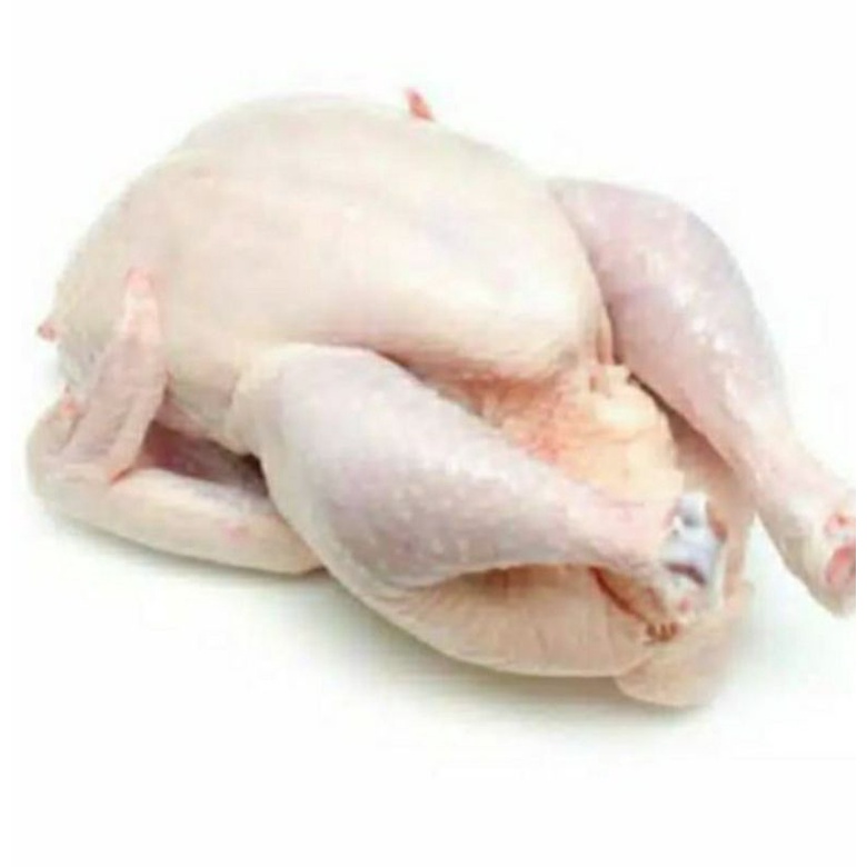 

Ayam karkas boiler ukuran 0.7-0.8 gram