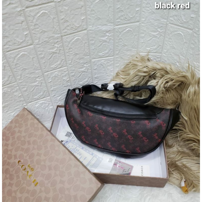 Coach bumbag