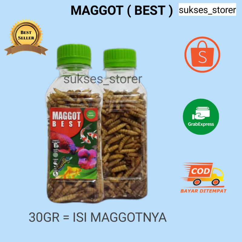 MAGGOT BSF PAKAN IKAN KOI MAGGOT BEST GRADE A maggot 30GR