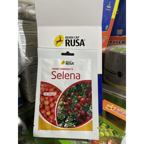 Bibit tomat hibrida F1 Selena/ Beni tomat hibrida F1 SELENA Benih cap rusa