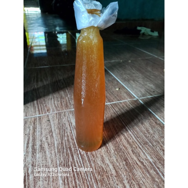 

madu/lebah/tawon/gong/asli100%tanpa/campuran/sama/sekali