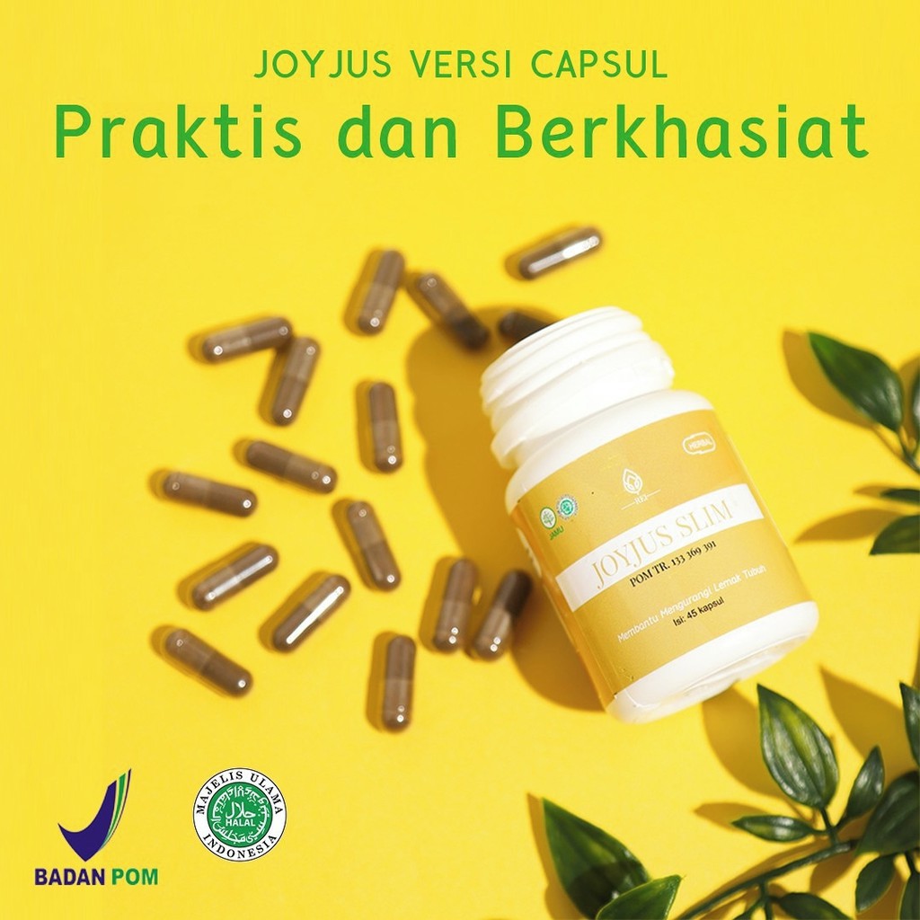 

Joyjus Slim FE