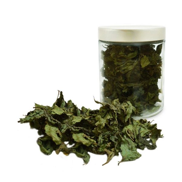 

Daun Bluntas Kering Premium 500 kg & 1 kg