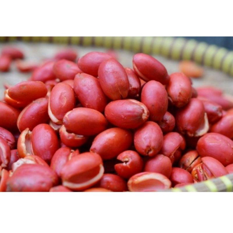 

2KG KULIT MELINJO MENTAH SEGAR | (PROMO) TERMURAH KULIT MELINJO SUPER ASLI ORIGINAL