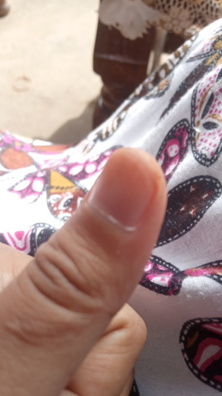 Rc Paket Bantal Guling Raisha Set Bahan Hollow Siliconized Fiber (raisha Pillow Collection)