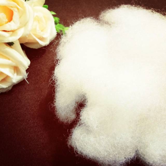 Dakron silicon 50gr