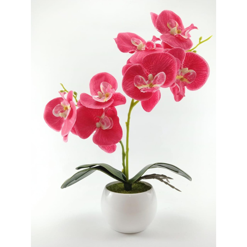 COD BUNGA PLASTIK BUNGA PAJANGAN IMITASI BUNGA ARTIFISIAL BUNGA ANGGREK LATEX TANAMAN HIAS BP8840 B-ROSE