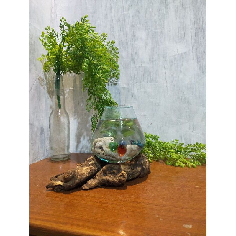 aquarium akar/kaca tiup..buat cupang dan vas bunga
