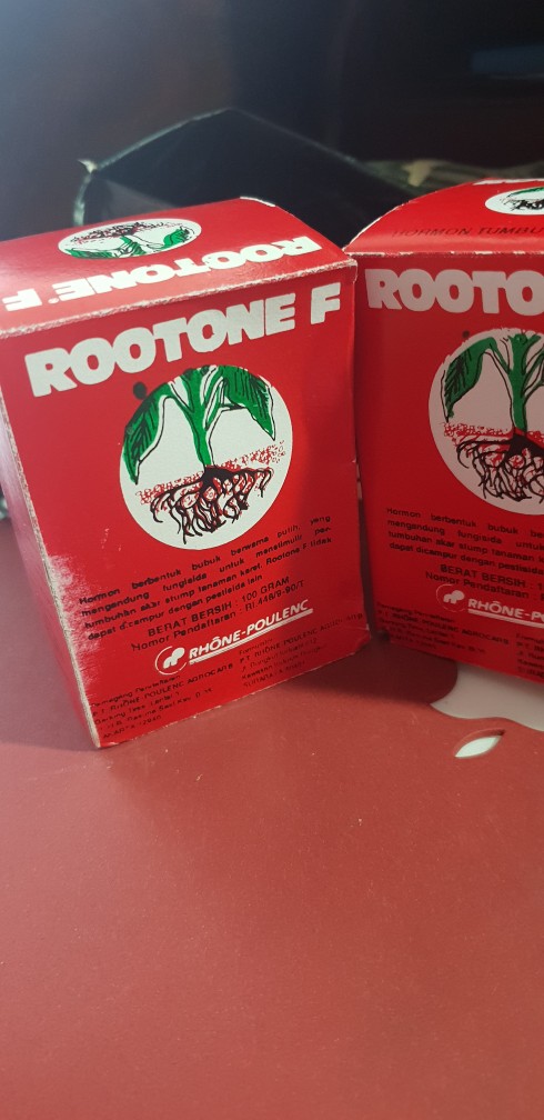 Zat Pengatur Tumbuh (zpt) Rootone F