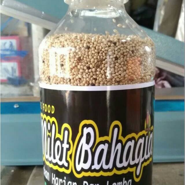 Milet bahagia love bird...untuk harian dan lomba