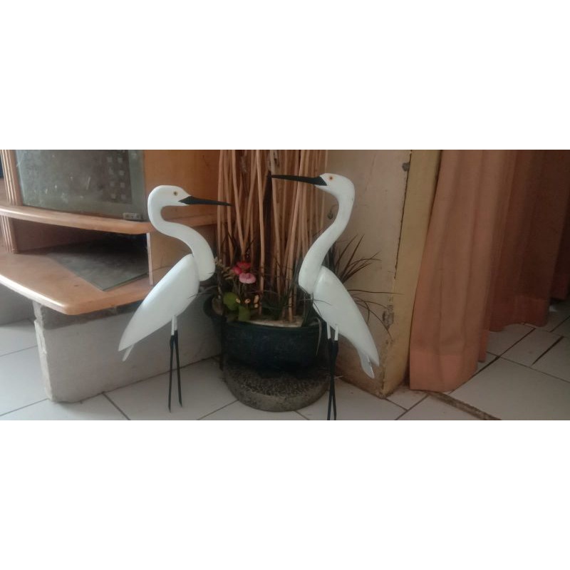 jontrot burung kuntul