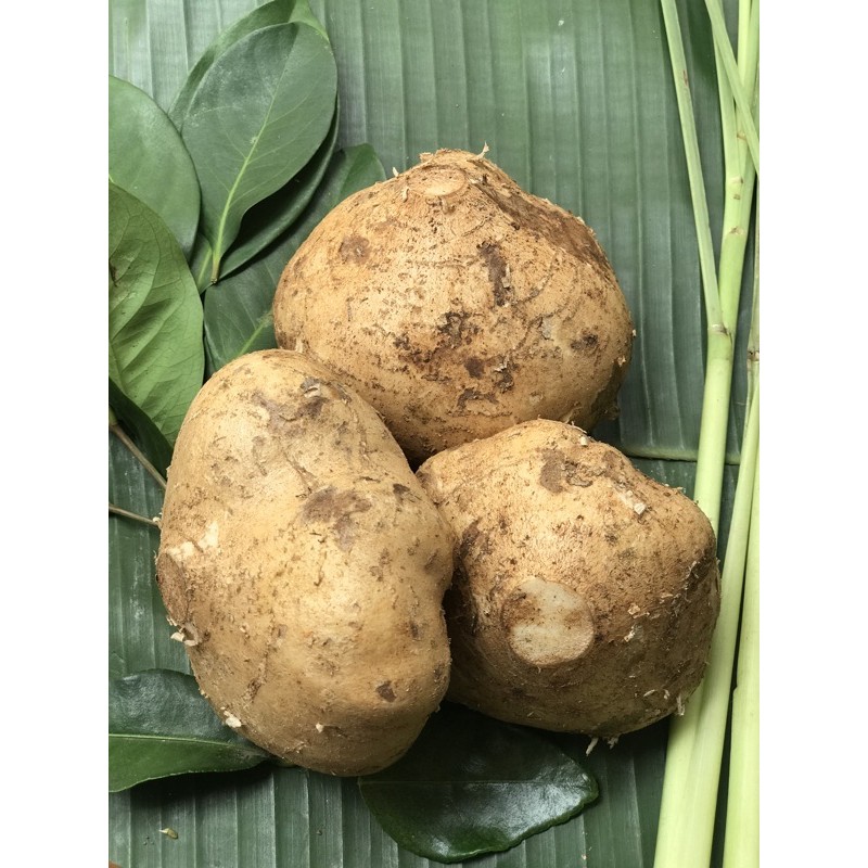 

Bengkuang - 500 Gram