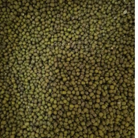 

Kacang Hijau 500gr Import