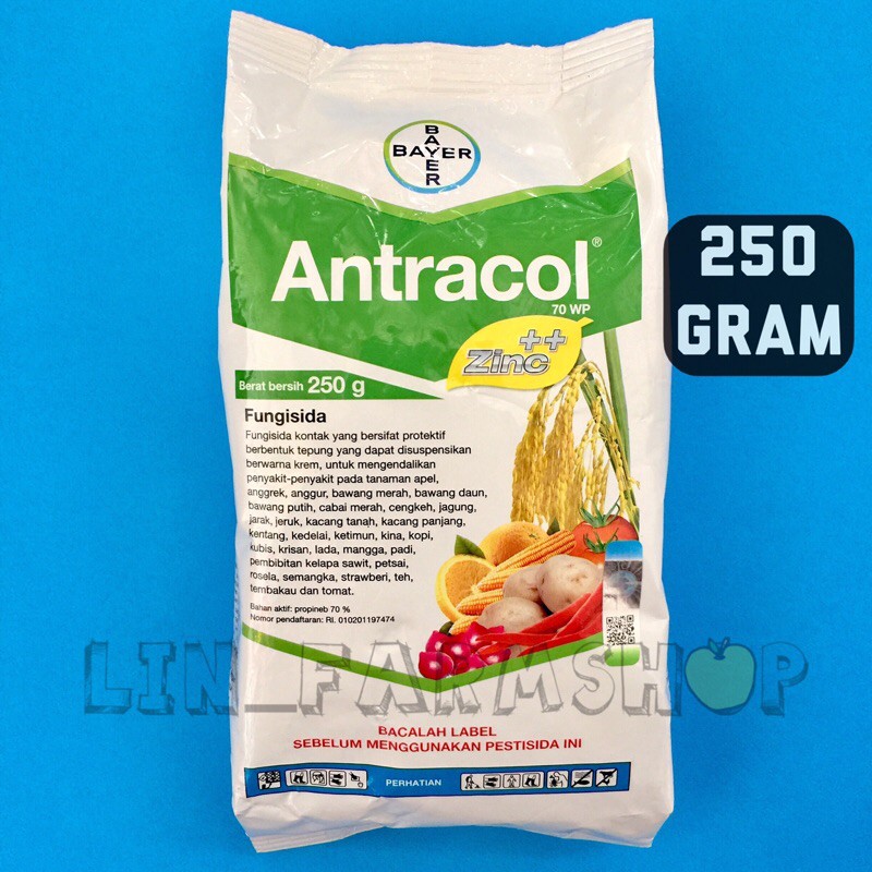 ANTRACOL 70 WP 250 GRAM FUNGISIDA / ANTRACOL 250GRAM ORIGINAL