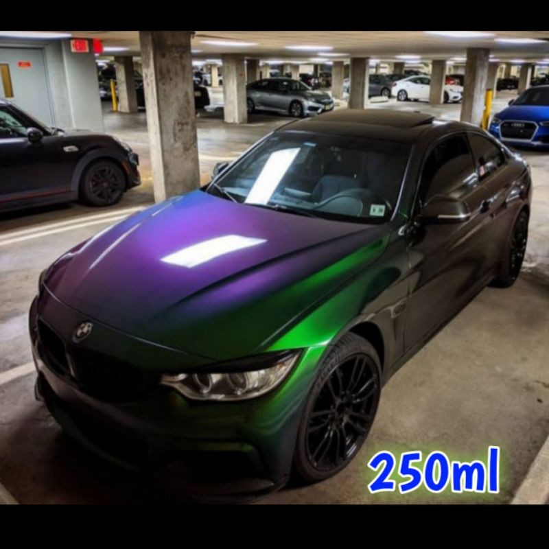 Cat bunglon Cat bunglon chameleon Cat Bunglon leander Cat bunglon 3 warna Cat bunglon grend violet