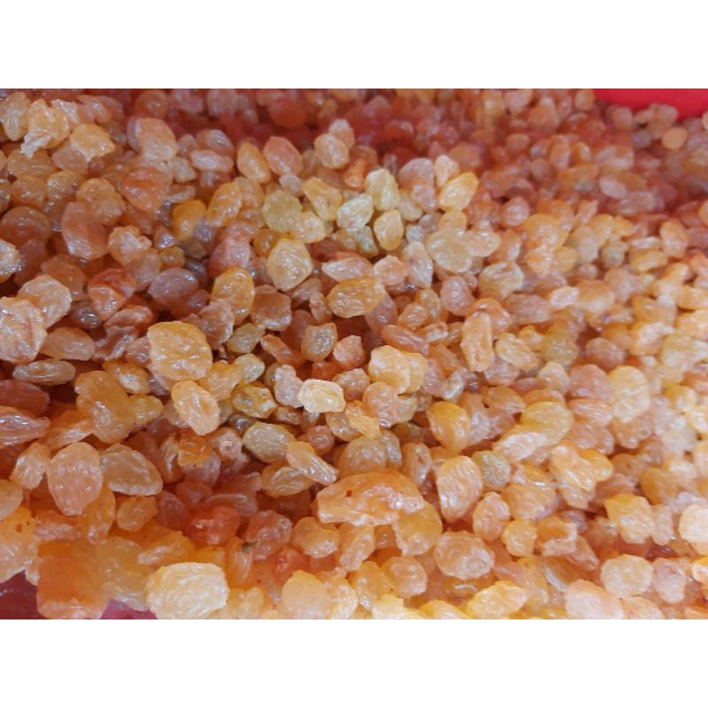 

KISMIS MANIS - 1 KG