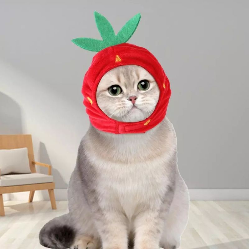 Topi kucing anjing bentuk strawberry