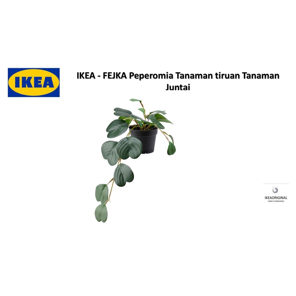 FEJKA Peperomia Tanaman tiruan Tanaman Juntai