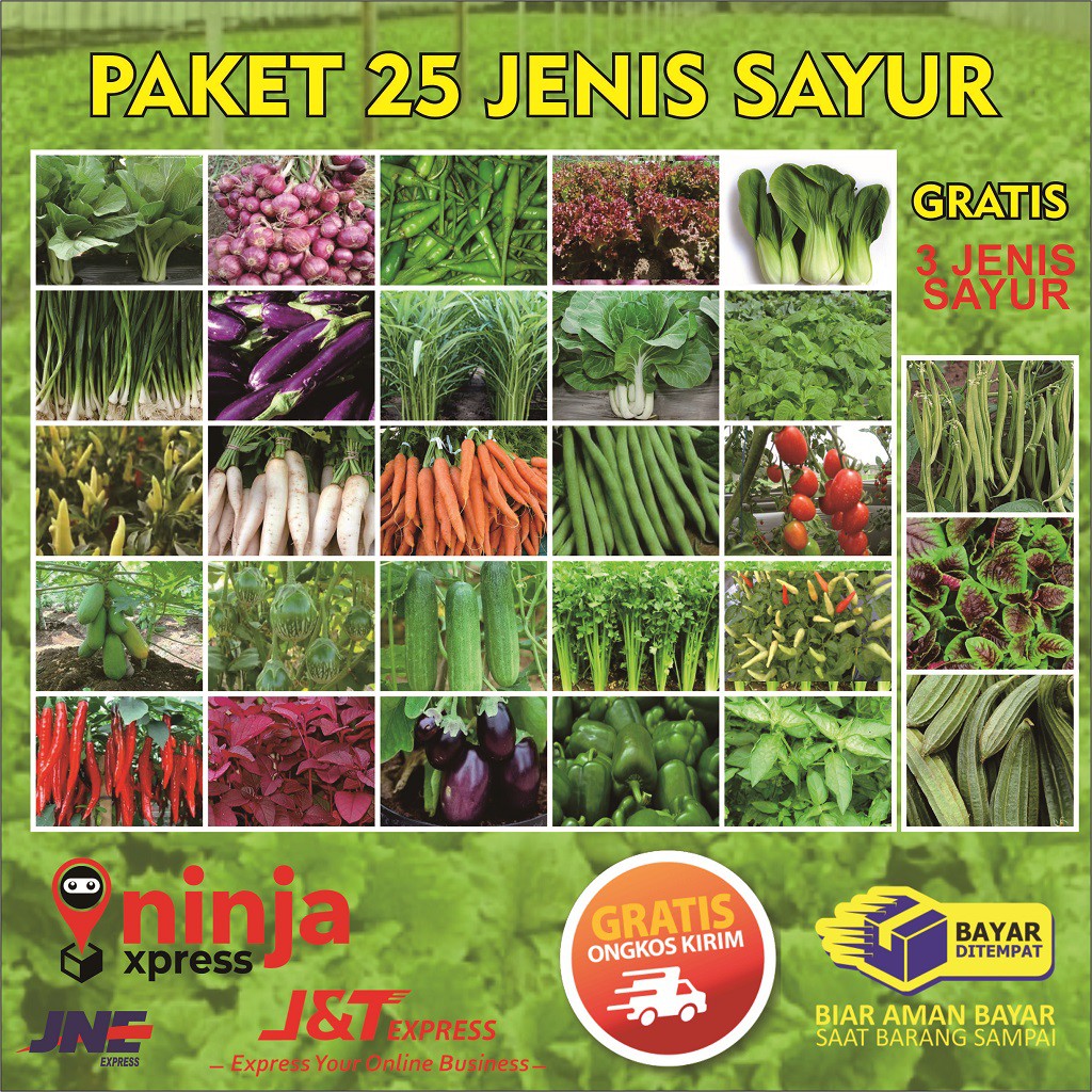 Paket Hemat Berkebun 25 Jenis Sayuran Shopee Indonesia