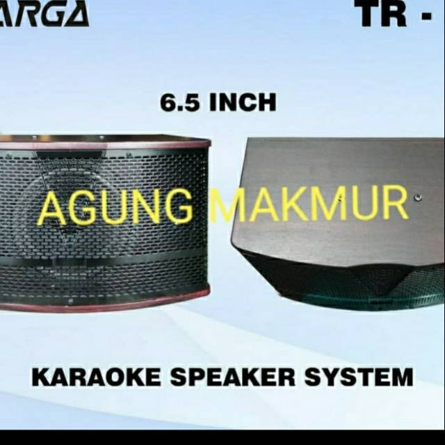 SPEAKER KARAOKE TARGA TR 65 SPEAKER