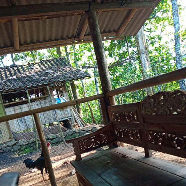 Batik Couple Keluarga Sania Ruffle Ori Ndoro Jowi Dnt Senobiru Termurah Di Shopee