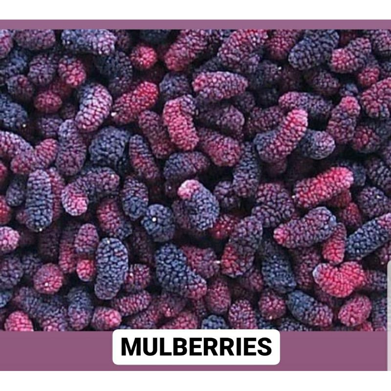 

MULBERRY FROZEN IQF