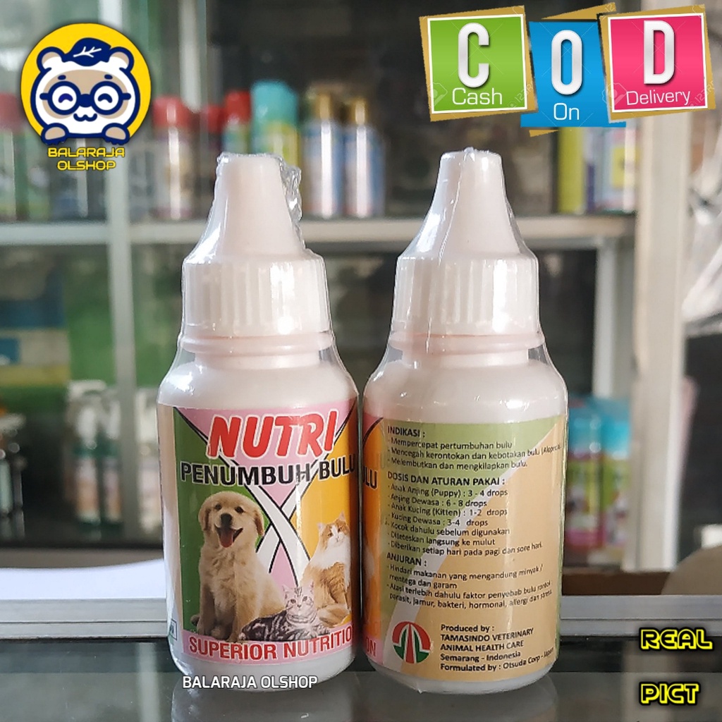 VITAMIN PENUMBUH BULU KUCING ANJING OBAT BULU RONTOK - NUTRI