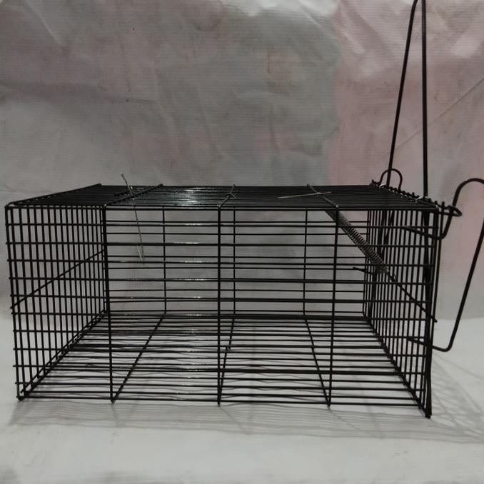 OPEN DS jebakan tikus besar perangkap kurungan tikus kawat baja