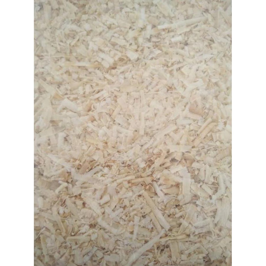 

Serutan Kayu | Hamster | Kelinci | Sugar Glider | Landak mini