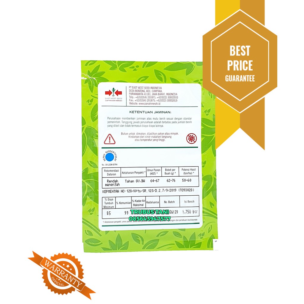 BENIH Tomat Gustavi +/- 1.750 butir-1