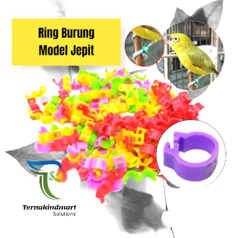 Ring Jepit Pleci Ciblek Kolibri 2.7 - 3mm