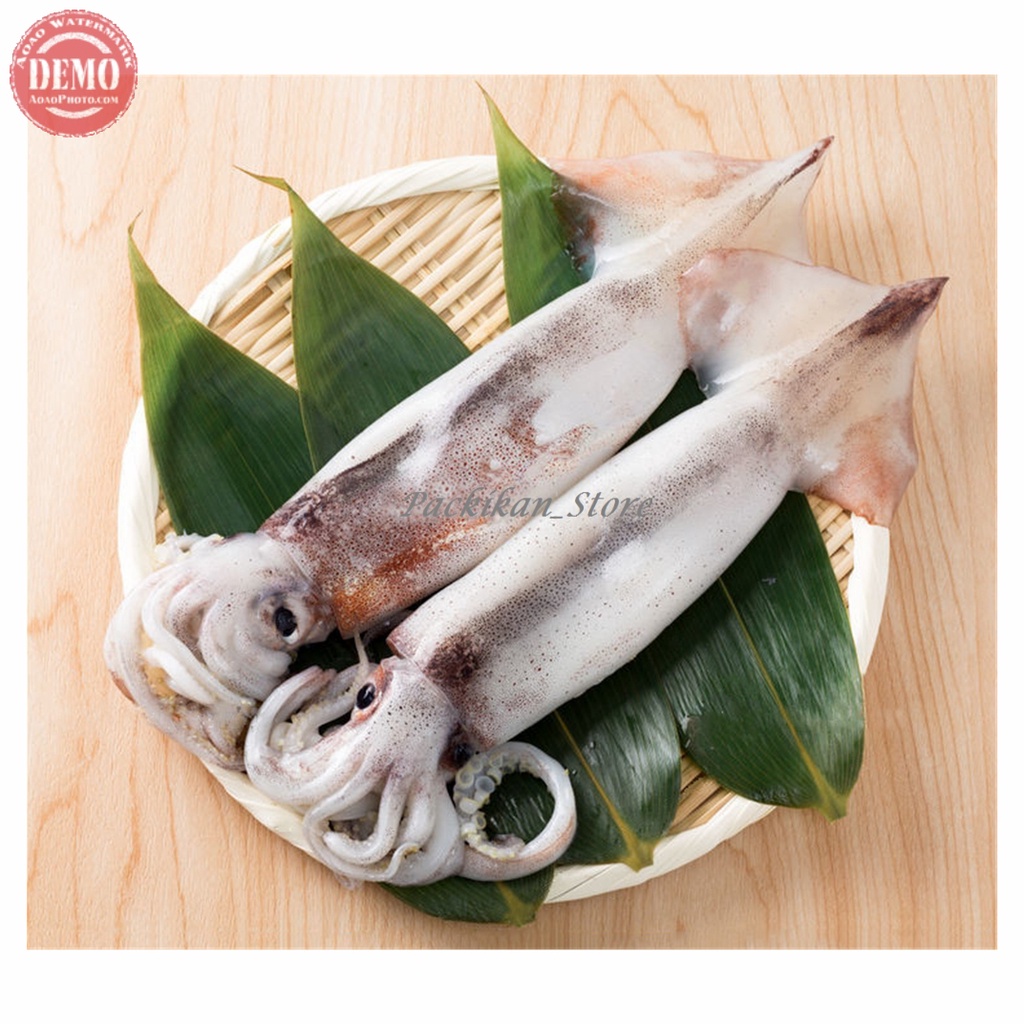 

Cumi Cumi Segar Tube Cumi Kondom Segar Seafood Fresh GARANSI SEGAR