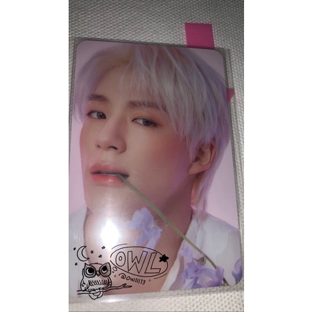 Photocard PC jeno candylab