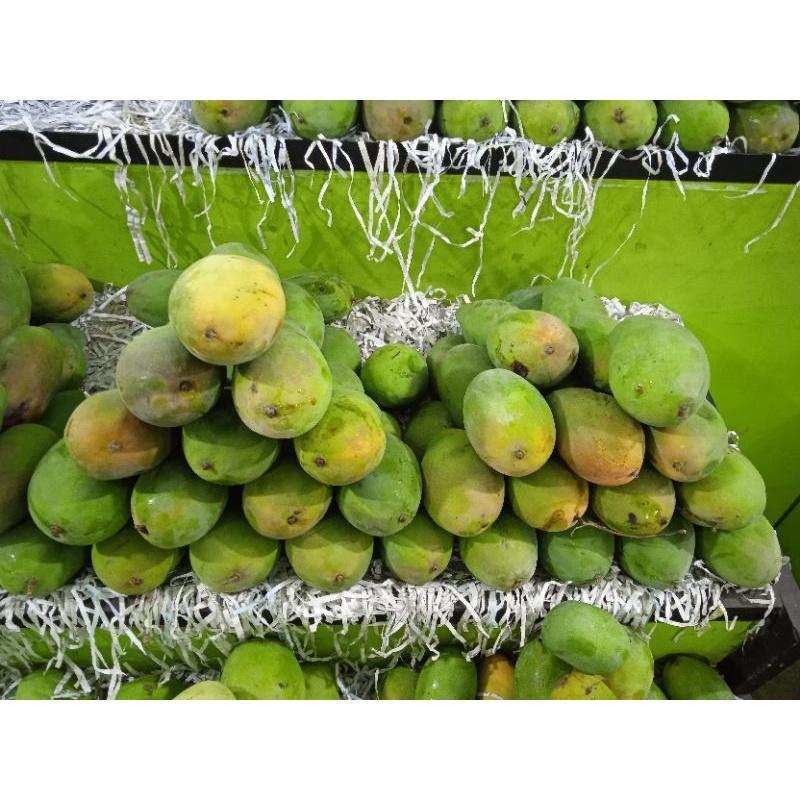 

Mangga Harum uk. Sedang