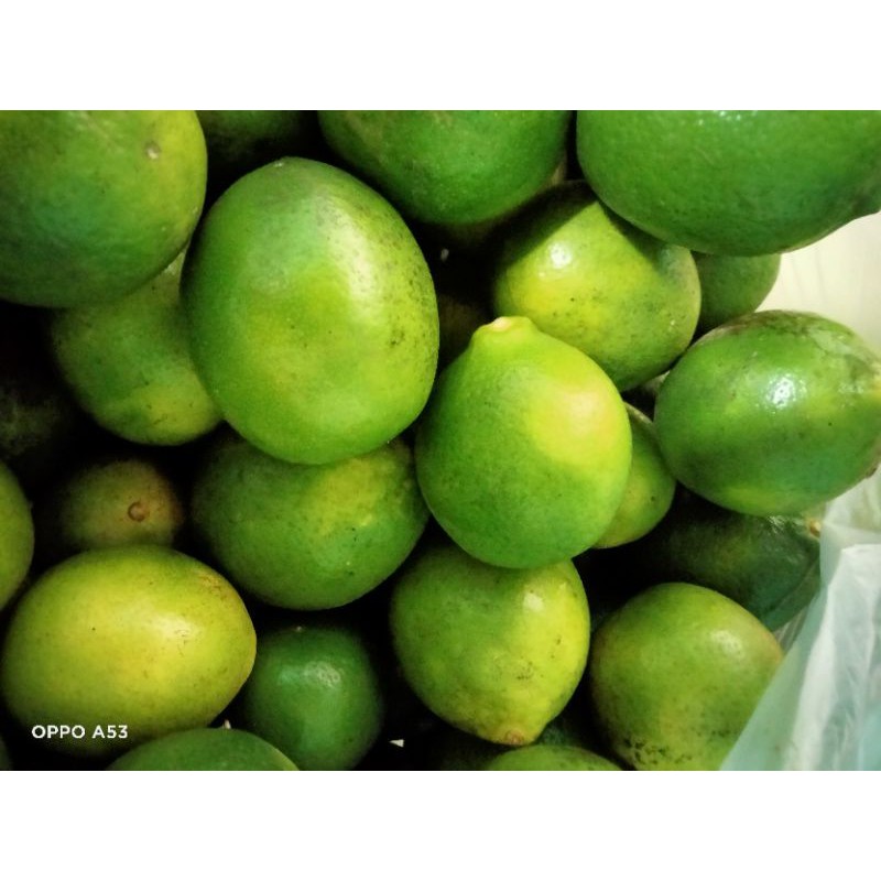 

lemon California segar