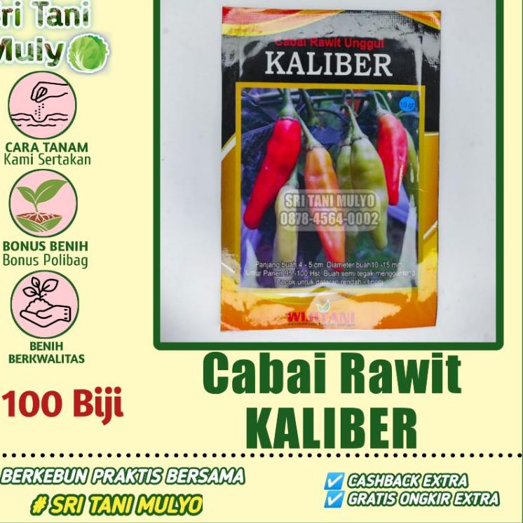 Ayo kemari! Benih Cabai Rawit Unggul Terbaru KALIBER WIJITANI Repack Original 100 Biji - Bibit Cabai