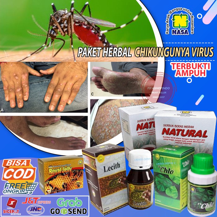 OBAT HERBAL CHIKUNGUNYA NASA PAKET OBAT CHIKUNGUNYA FLU TULANG TERUJI