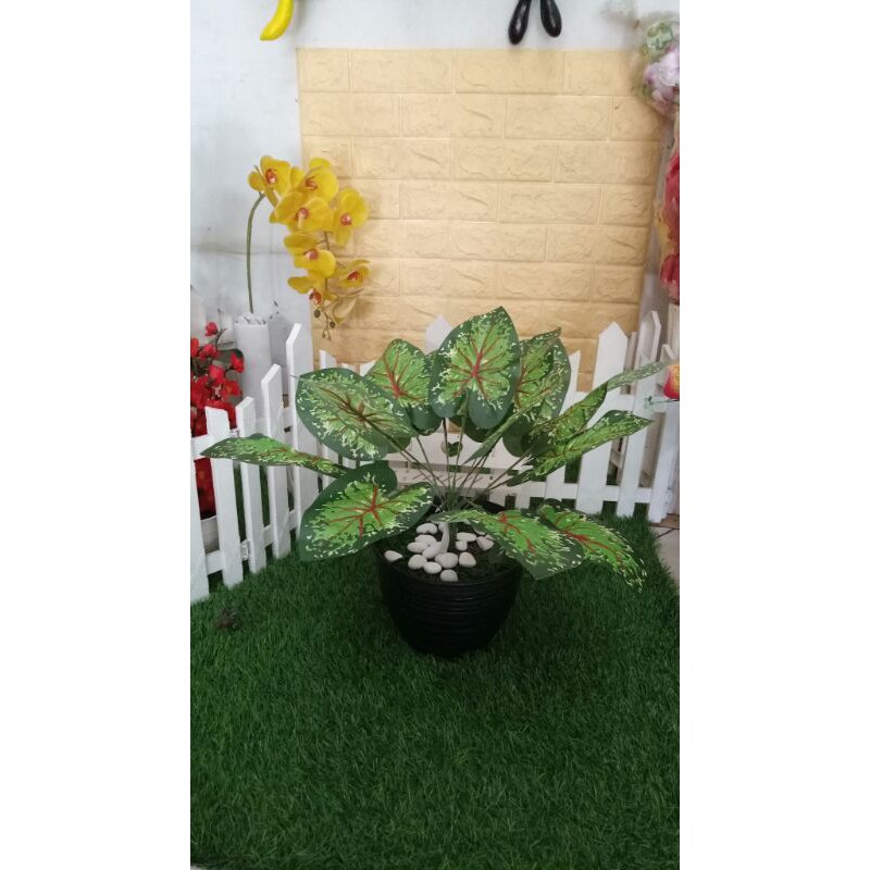 Bunga Hias Plastik Sri Rejeki