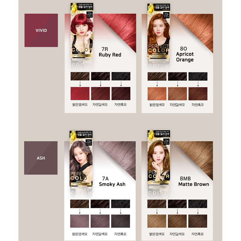 Mise en Scene PERFECT COLOR Hair dye Coloring