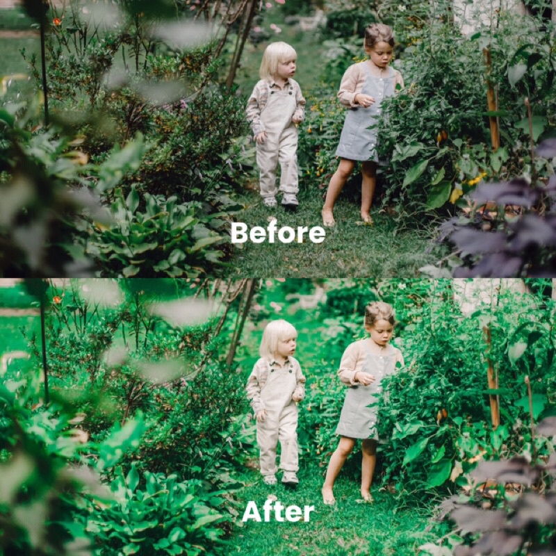 MATCHA TONE PRESET LIGHTROOM (iOS &amp; ANDROID)