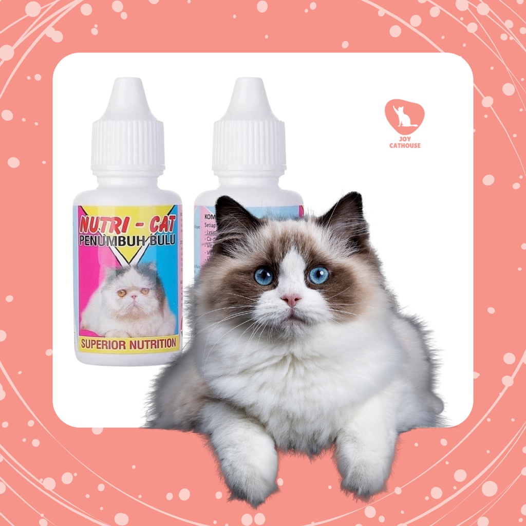 NUTRI CAT Nutricat Obat Penyubur bulu kucing | Joy Cathouse