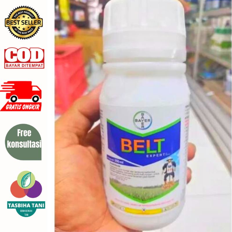 BELT EXPERT BAYER 250 ML. INSEKTISIDA PENGGEREK BATANG PADI | Obat Sundep beluk padi