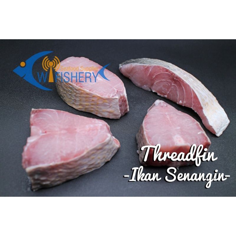 

Ikan Senangin Potongan Goreng - Threadfin Slice (Ngor He)