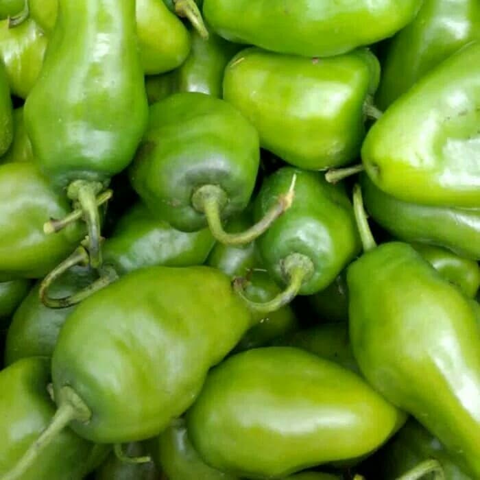 1 kg cabe gembor cabe gendot cabai gembor cabai super gred a di packing pake mesin vakum cabe murah cabe pedas