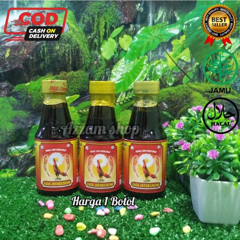 

Jamu Jago Joyo Kusumo Asli 150ml Pegal Linu Asam Urat-1