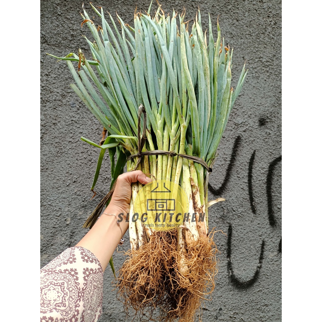 

Daun bawang seledri lokal paket hemat campur sekantong