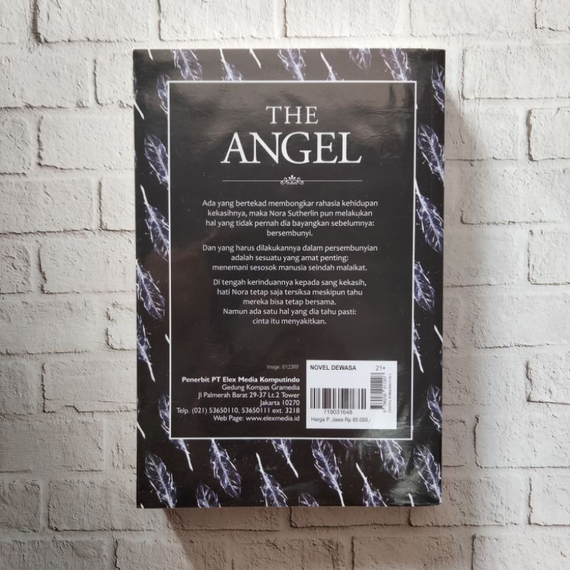 Novel bekas the angel by tiffany reisz