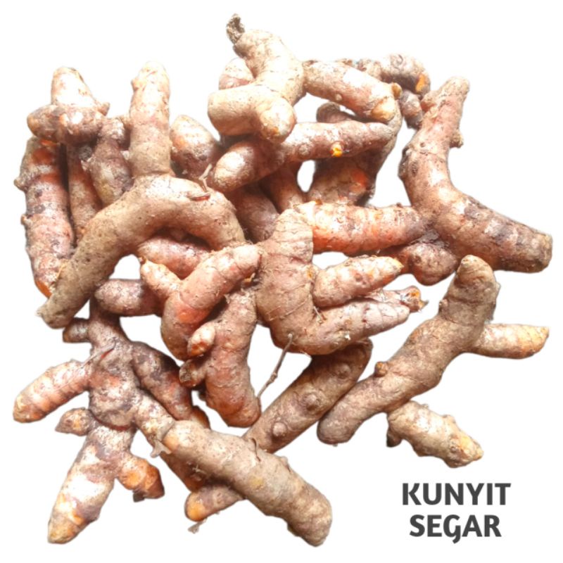 

Kunyit Segar Kunir 1 kg