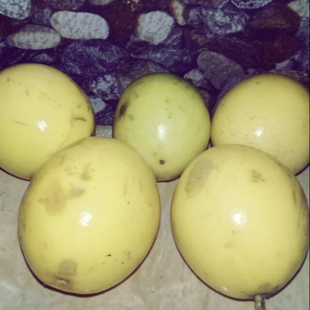 

Buah markisa kuning segar 500gram