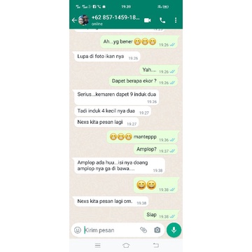 ⭐⭐⭐⭐⭐umpan ikan mas ANTI ZONK salmon jagung_umpan mancing praktis , UMPAN IKAN MAS MUSIM HUJAN , IKAN MAS , UMPAN IKAN MAS